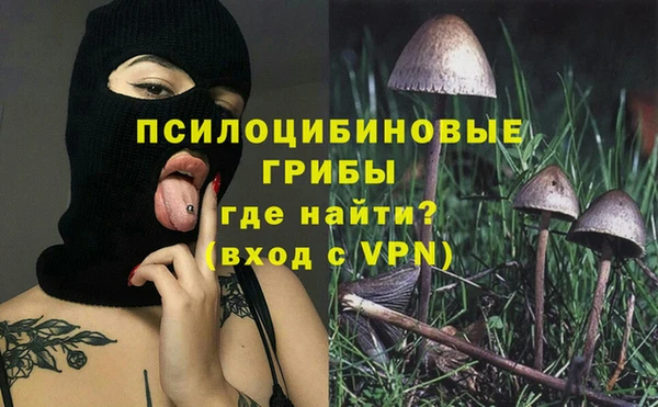 ешки Бугульма