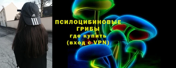 мет Бородино