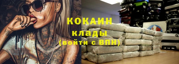 мет Бородино