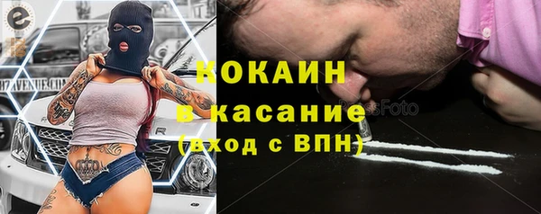 мет Бородино