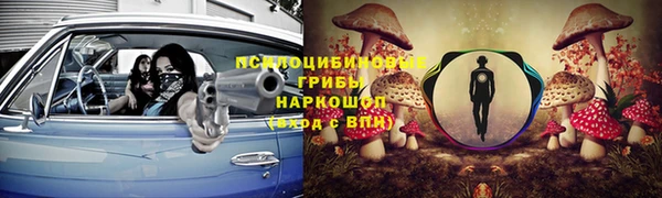 мет Бородино